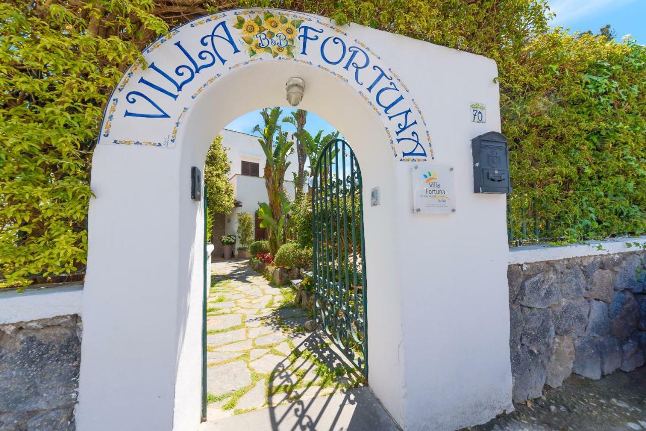 Villa Fortuna Holiday Resort Ischia Eksteriør bilde